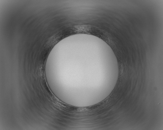 X0000051860514200506241006