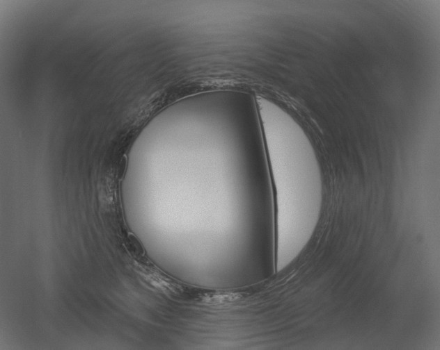 X0000051860517200506241005