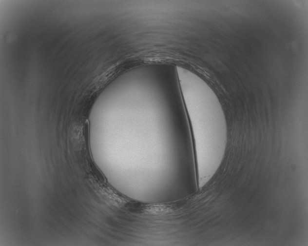 X0000051860521200506241005
