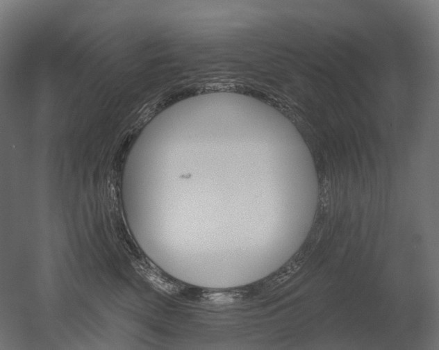 X0000051860522200506241005