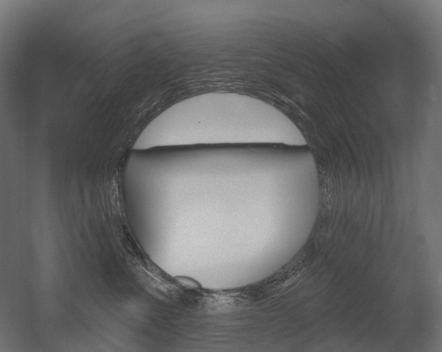 X0000051860523200506241005