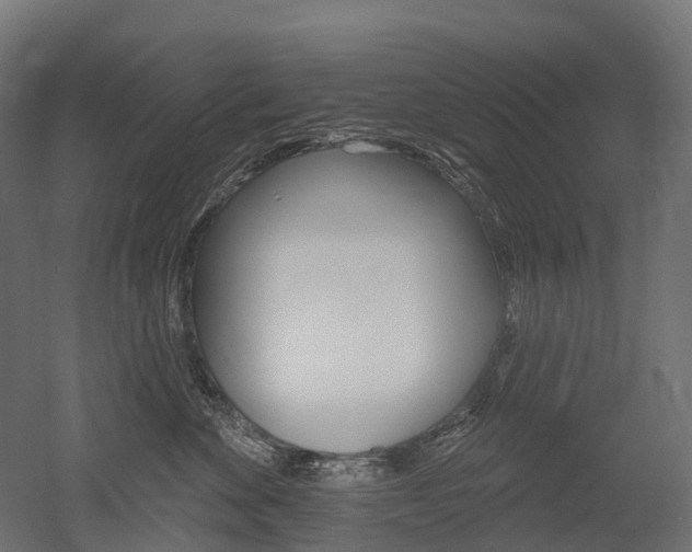 X0000051860524200506241005
