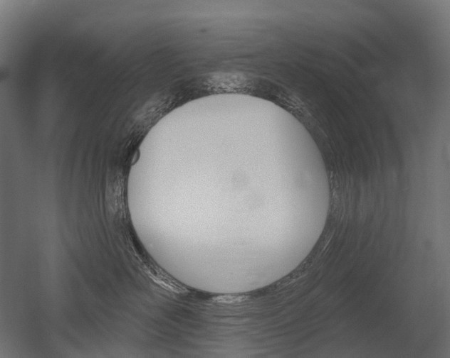 X0000051860526200506241005