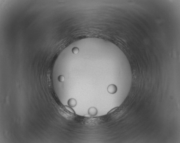 X0000051860527200506241005