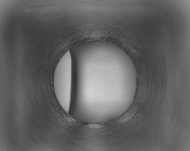 X0000051860528200506241005