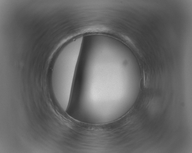 X0000051860531200506241004