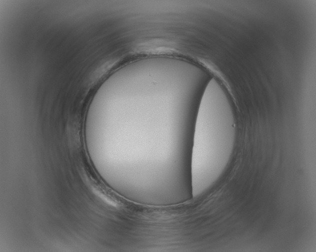 X0000051860533200506241005