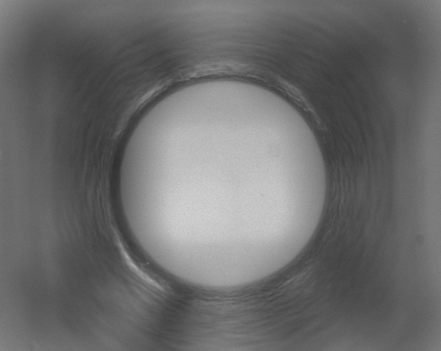 X0000051860538200506241005