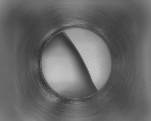 X0000051860539200506241005