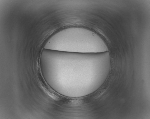 X0000051860541200506241005