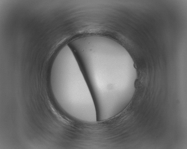 X0000051860542200506241005
