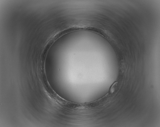 X0000051860544200506241005
