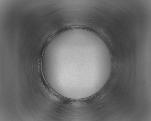 X0000051860545200506241005