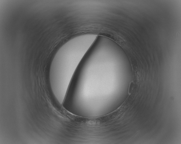 X0000051860546200506241005