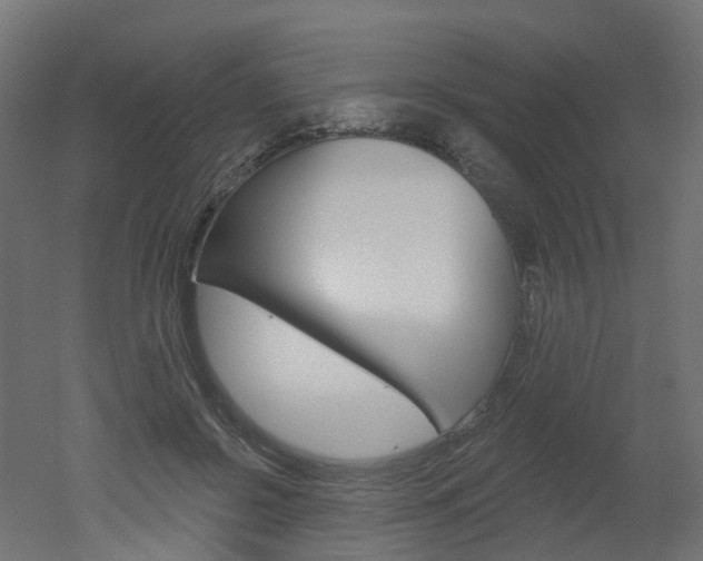 X0000051860550200506241005