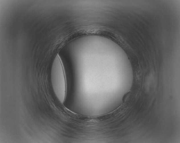 X0000051860551200506241005