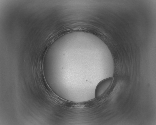 X0000051860554200506241005
