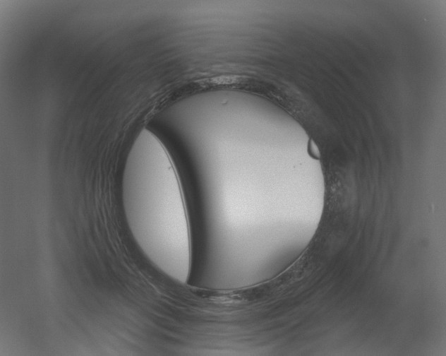 X0000051860555200506241005