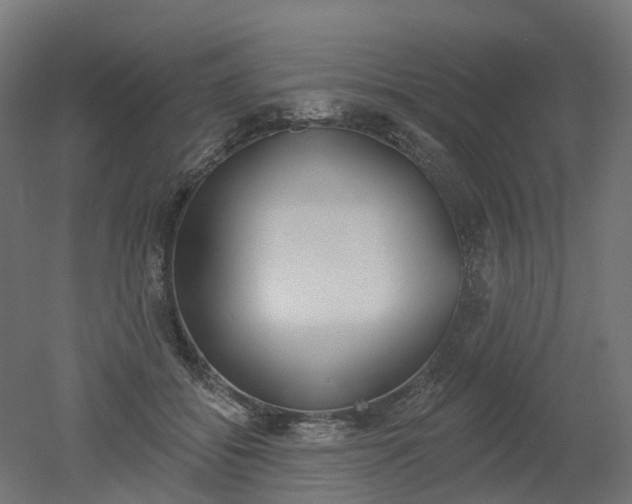 X0000051860556200506241005