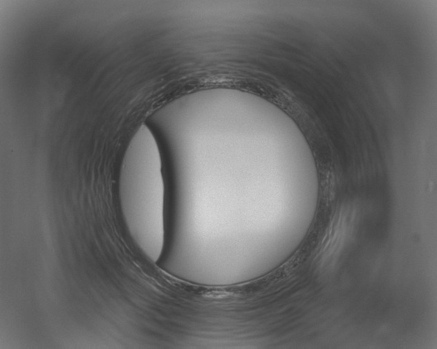 X0000051860557200506241005