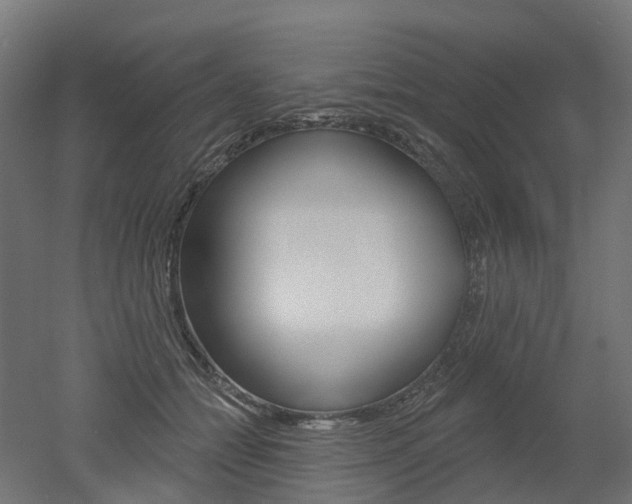 X0000051860558200506241005