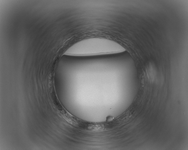 X0000051860559200506241005