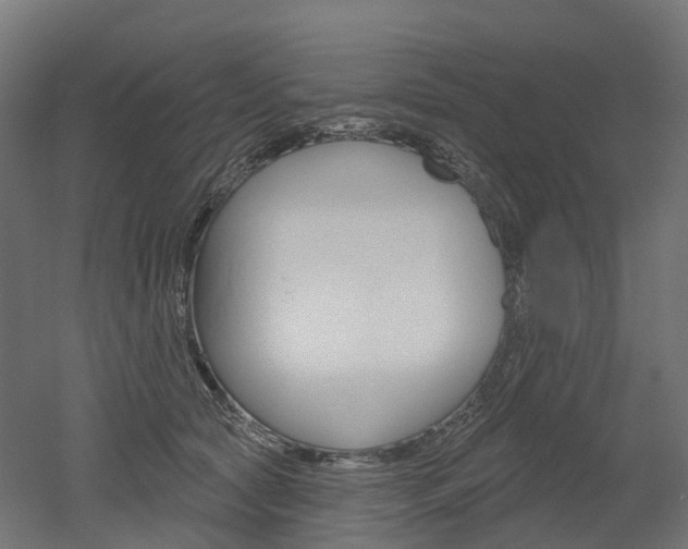X0000051860561200506241005