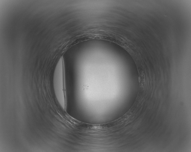 X0000051860562200506241005