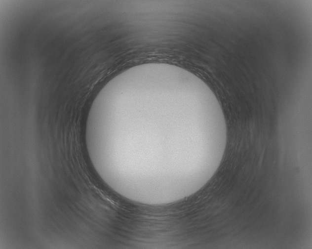 X0000051860564200506241005