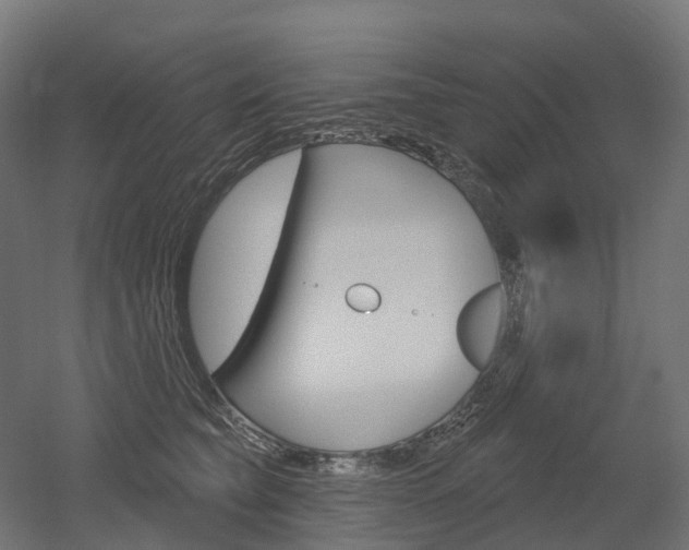 X0000051860565200506241005