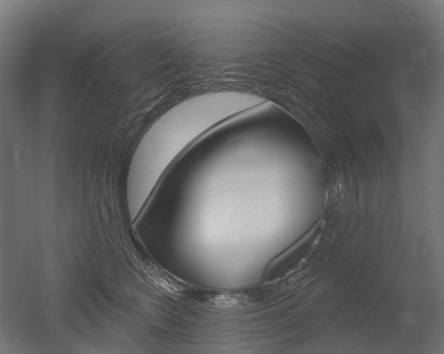 X0000051860566200506241005