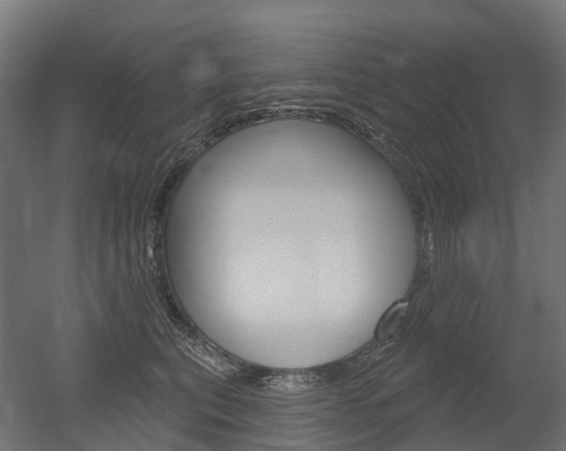 X0000051860567200506241005
