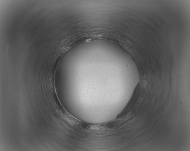 X0000051860568200506241005