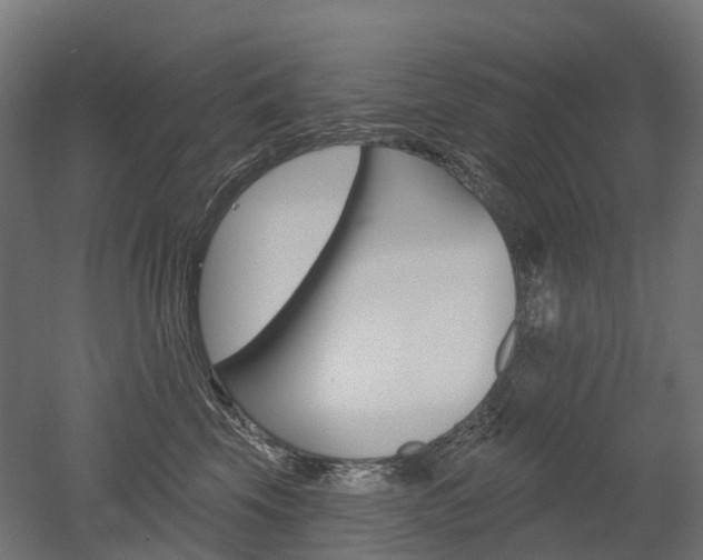 X0000051860569200506241005