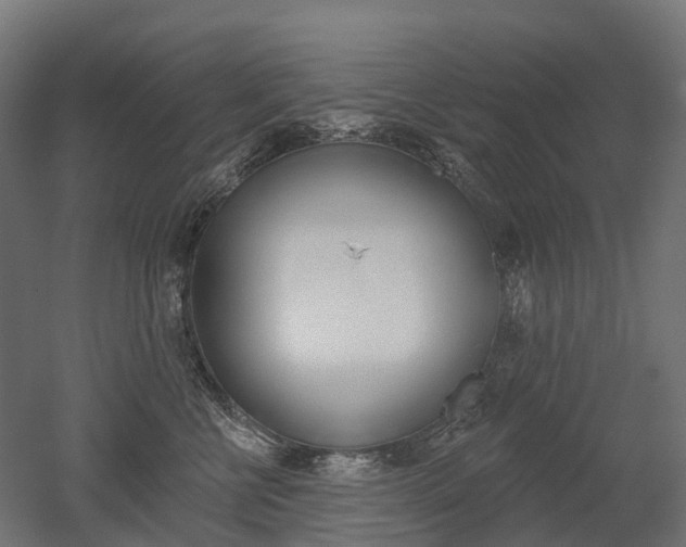 X0000051860570200506241005