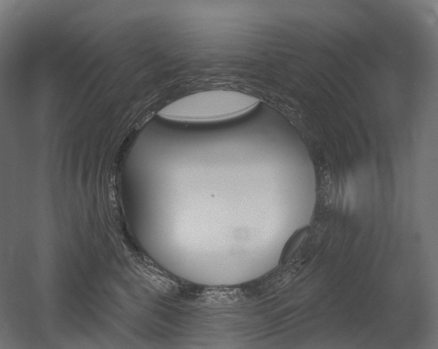 X0000051860571200506241005