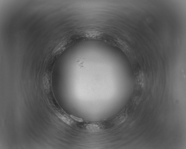 X0000051860572200506241005