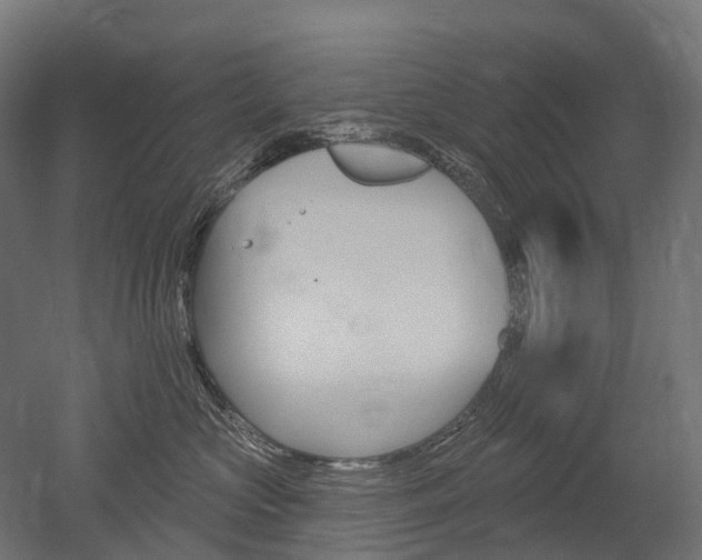 X0000051860573200506241005