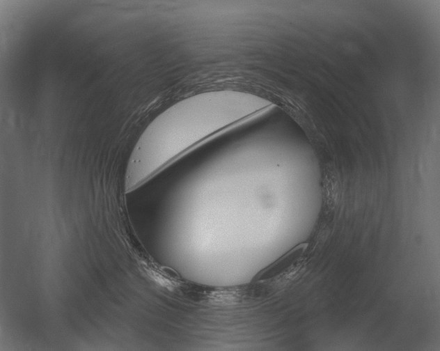 X0000051860574200506241005