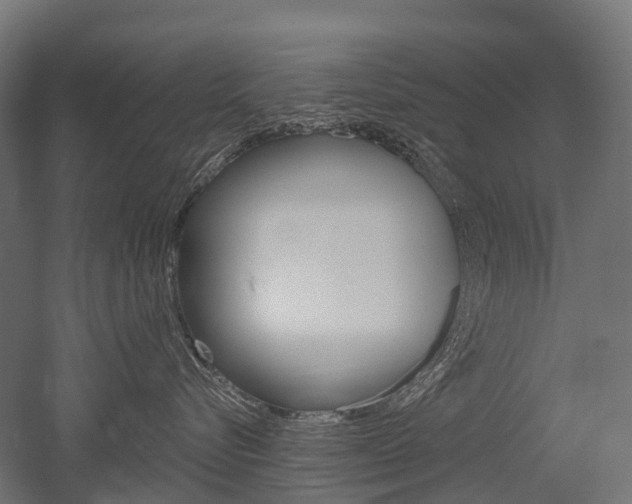 X0000051860576200506241005