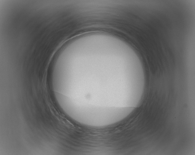 X0000051860579200506241004