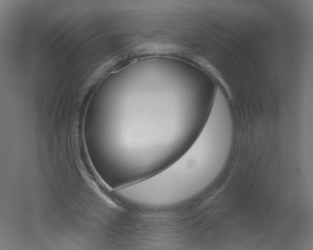 X0000051860581200506241004