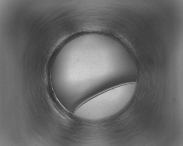 X0000051860584200506241004