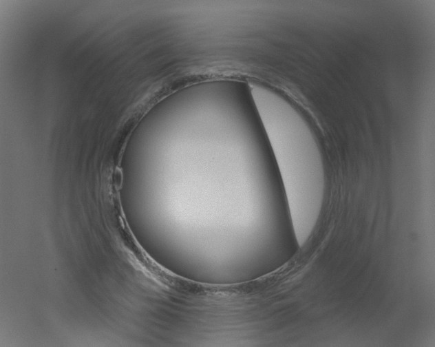 X0000051860585200506241004