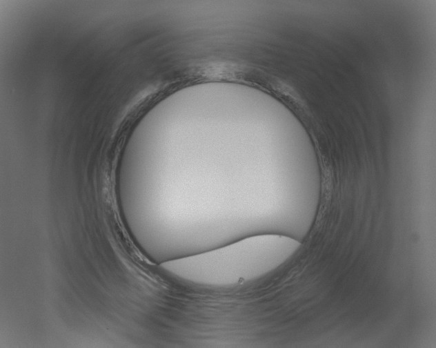 X0000051860587200506241004