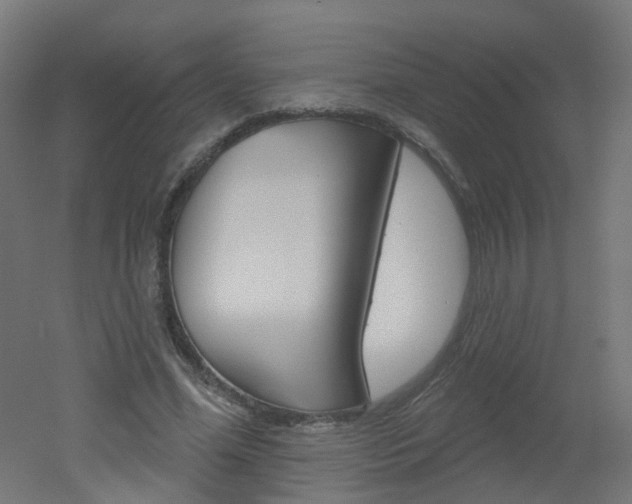 X0000051860588200506241004