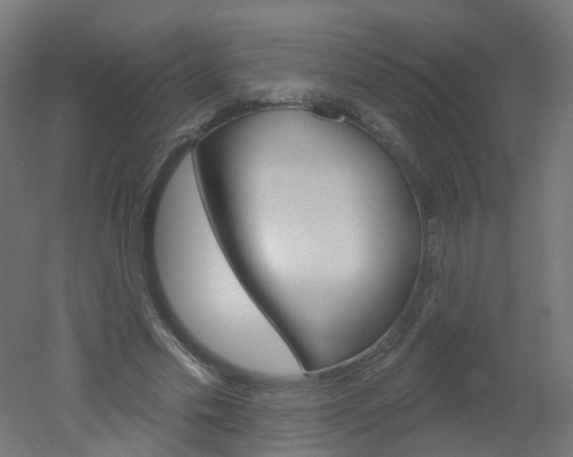 X0000051860589200506241004