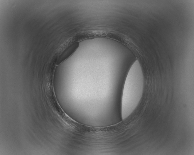 X0000051860593200506241004