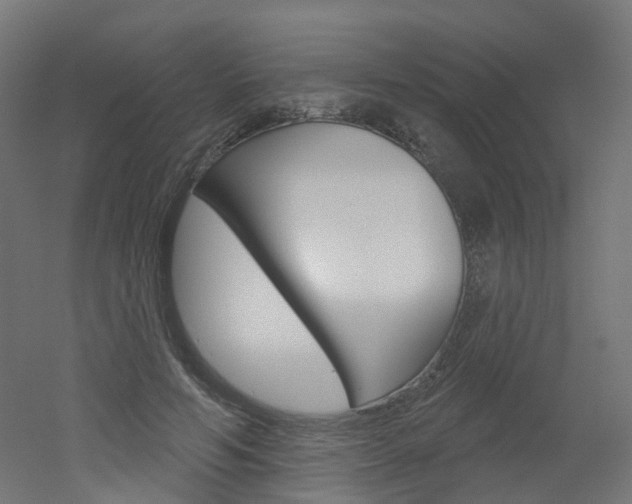 X0000051860594200506241004