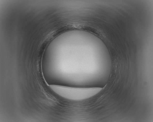 X0000051860595200506241004